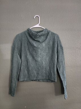 Anthropologie Sage Green Cropped Hooded Sweater